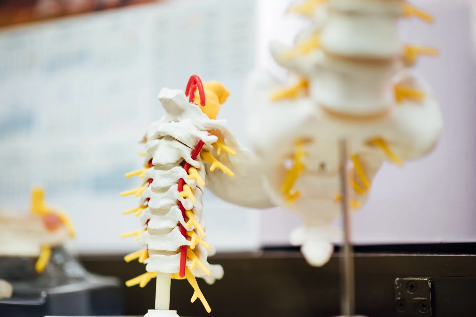 Posture and physical health